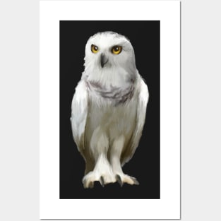 Snow Owl Posters and Art